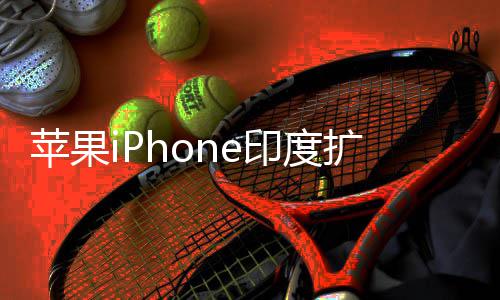 本玩不转队根 没苹果扩产印度遇阻有中国团